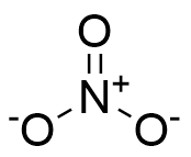 Nitrate ion 