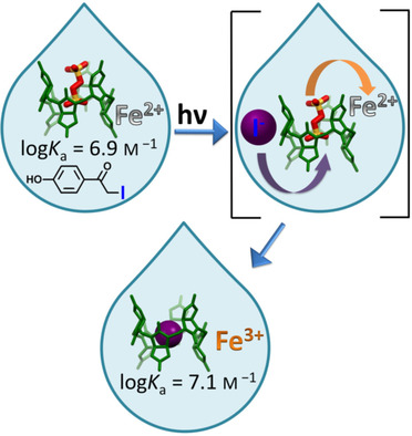 https://chemistry-europe.onlinelibrary.wiley.com/cms/asset/ad56d60e-e0a0-43ad-9b5b-230febcd84f4/chem201704948-toc-0001-m.jpg