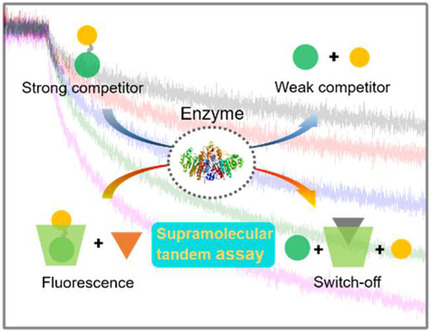 https://chemistry-europe.onlinelibrary.wiley.com/cms/asset/07f1105a-5144-4662-8104-81b4e87bf862/open201900316-toc-0001-m.jpg