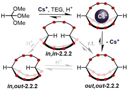 https://chemistry-europe.onlinelibrary.wiley.com/cms/asset/9e3f108f-8976-47c1-a572-85e00e4cb3e7/cplu202000254-toc-0001-m.jpg