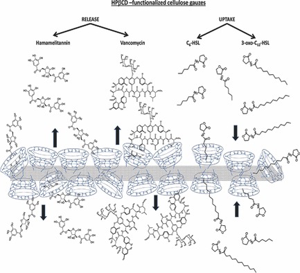 https://onlinelibrary.wiley.com/cms/asset/f1f095f8-43a6-4364-b859-6caf60b720bc/mabi201500437-gra-0001-m.jpg