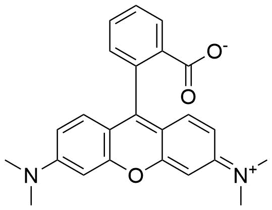 Tetramethylrhodamine