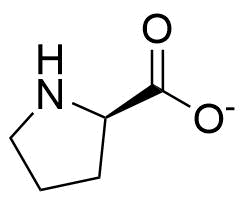 %282r%29 pyrrolidine 2 carboxylate