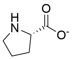 %282s%29 pyrrolidine 2 carboxylate