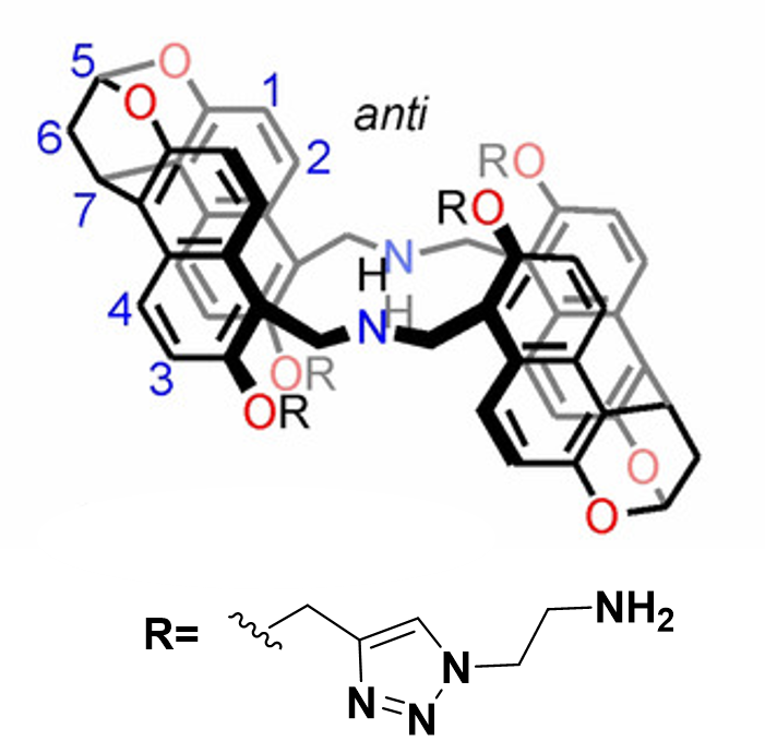 Anti aminenaphthotube
